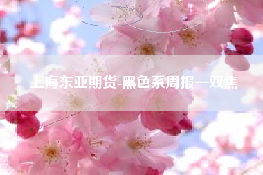 上海东亚期货-黑色系周报—双焦
