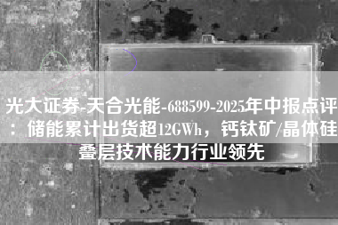 光大证券-天合光能-688599-2025年中报点评：储能累计出货超12GWh，钙钛矿/晶体硅叠层技术能力行业领先