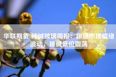 华联期货-纯碱玻璃周报：跟随市场情绪波动，玻碱低位震荡