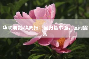 华联期货-镍周报：回归基本面，区间震荡