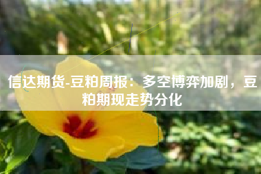 信达期货-豆粕周报：多空博弈加剧，豆粕期现走势分化