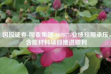 国投证券-国泰集团-603977-业绩短期承压，含能材料项目推进顺利