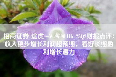 招商证券-途虎~W-9690.HK-25Q2财报点评：收入稳步增长利润超预期，看好长期盈利增长潜力
