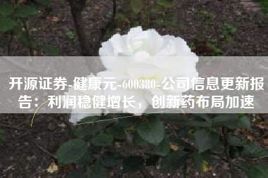开源证券-健康元-600380-公司信息更新报告：利润稳健增长，创新药布局加速