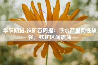 华联期货-铁矿石周报：铁水产量韧性较强，铁矿区间震荡