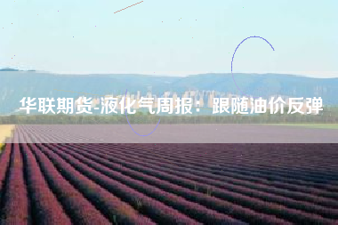 华联期货-液化气周报：跟随油价反弹