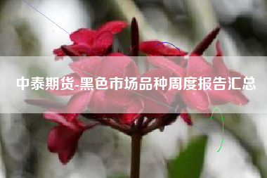 中泰期货-黑色市场品种周度报告汇总