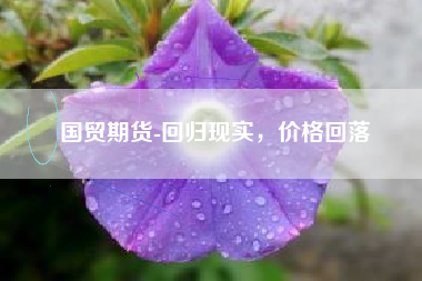 国贸期货-回归现实，价格回落