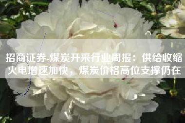 招商证券-煤炭开采行业周报：供给收缩火电增速加快，煤炭价格高位支撑仍在