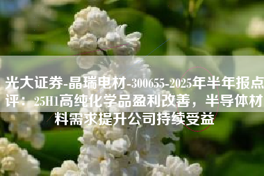 光大证券-晶瑞电材-300655-2025年半年报点评：25H1高纯化学品盈利改善，半导体材料需求提升公司持续受益