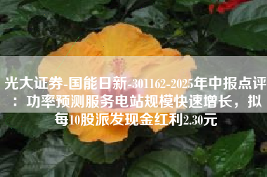 光大证券-国能日新-301162-2025年中报点评：功率预测服务电站规模快速增长，拟每10股派发现金红利2.30元