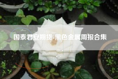 国泰君安期货-黑色金属周报合集