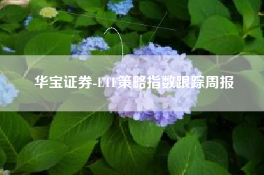华宝证券-ETF策略指数跟踪周报