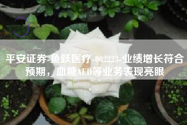 平安证券-鱼跃医疗-002223-业绩增长符合预期，血糖AED等业务表现亮眼