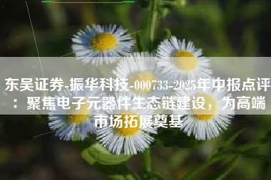 东吴证券-振华科技-000733-2025年中报点评：聚焦电子元器件生态链建设，为高端市场拓展奠基