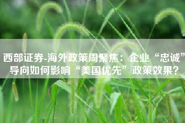 西部证券-海外政策周聚焦：企业“忠诚”导向如何影响“美国优先”政策效果？