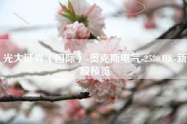 光大证券（国际）-奥克斯电气-2580.HK-新股预览