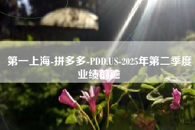 第一上海-拼多多-PDD.US-2025年第二季度业绩前瞻