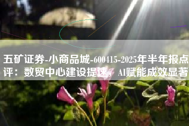 五矿证券-小商品城-600415-2025年半年报点评：数贸中心建设提速，AI赋能成效显著