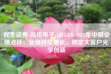 民生证券-高伟电子-1415.HK-2025年中期业绩点评：业绩持续增长，绑定大客户光学创新