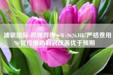 浦银国际-哔哩哔哩~W-9626.HK-严格费用管控推动利润改善优于预期