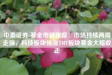中泰证券-基金市场跟踪：市场持续两周走强，科技板块领涨TMT板块基金大幅收正