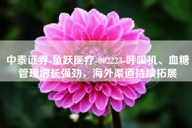 中泰证券-鱼跃医疗-002223-呼吸机、血糖管理增长强劲，海外渠道持续拓展
