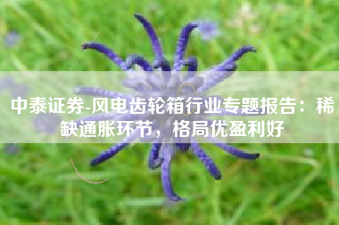 中泰证券-风电齿轮箱行业专题报告：稀缺通胀环节，格局优盈利好