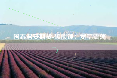 国泰君安期货-碳酸锂：宽幅震荡