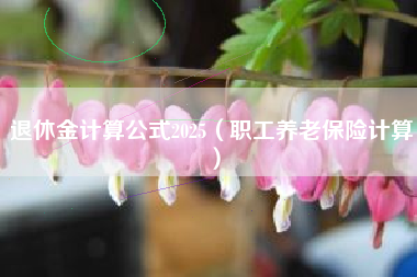 退休金计算公式2025（职工养老保险计算）