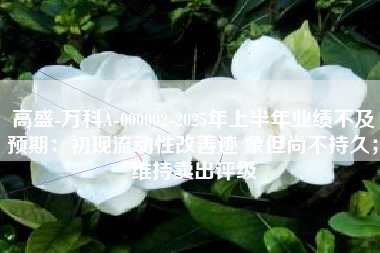 高盛-万科A-000002-2025年上半年业绩不及预期：初现流动性改善迹 象但尚不持久；维持卖出评级
