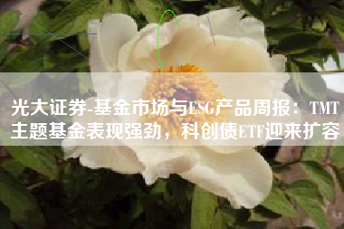光大证券-基金市场与ESG产品周报：TMT主题基金表现强劲，科创债ETF迎来扩容