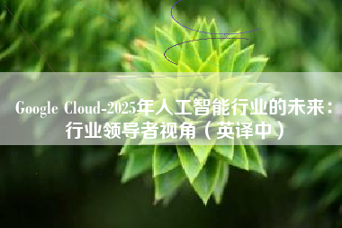 Google Cloud-2025年人工智能行业的未来：行业领导者视角（英译中）
