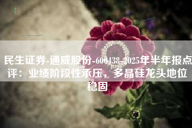 民生证券-通威股份-600438-2025年半年报点评：业绩阶段性承压，多晶硅龙头地位稳固
