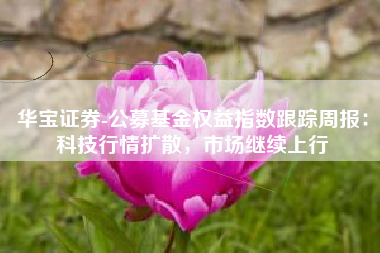 华宝证券-公募基金权益指数跟踪周报：科技行情扩散，市场继续上行
