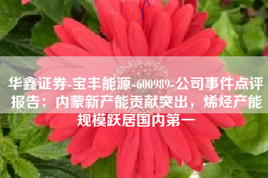 华鑫证券-宝丰能源-600989-公司事件点评报告：内蒙新产能贡献突出，烯烃产能规模跃居国内第一