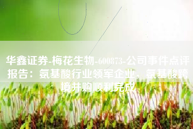 华鑫证券-梅花生物-600873-公司事件点评报告：氨基酸行业领军企业，氨基酸跨境并购顺利完成