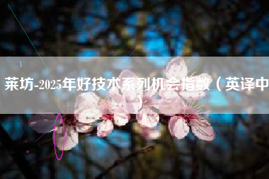 莱坊-2025年好技术系列机会指数（英译中）