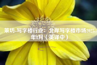 莱坊-写字楼行业：北岸写字楼市场2025年8月（英译中）