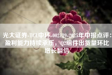 光大证券-TCL中环-002129-2025年中报点评：盈利能力持续承压，Q2组件出货量环比增长翻倍
