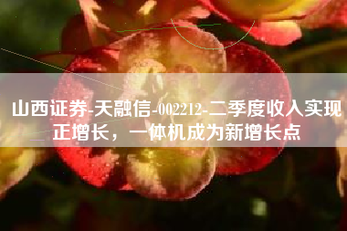 山西证券-天融信-002212-二季度收入实现正增长，一体机成为新增长点