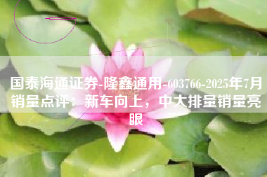 国泰海通证券-隆鑫通用-603766-2025年7月销量点评：新车向上，中大排量销量亮眼