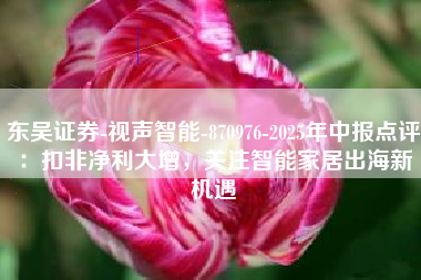 东吴证券-视声智能-870976-2025年中报点评：扣非净利大增，关注智能家居出海新机遇