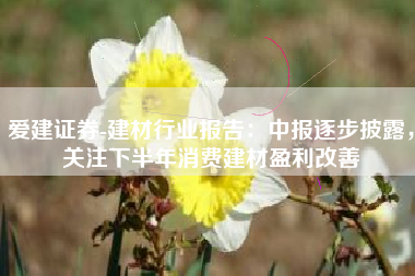 爱建证券-建材行业报告：中报逐步披露，关注下半年消费建材盈利改善