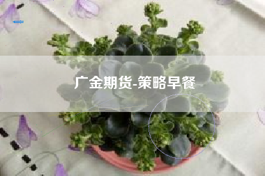 广金期货-策略早餐