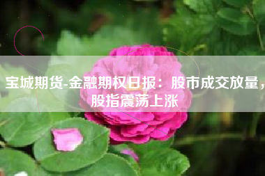 宝城期货-金融期权日报：股市成交放量，股指震荡上涨