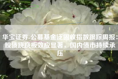 华宝证券-公募基金泛固收指数跟踪周报：股债跷跷板效应显著，国内债市持续承压