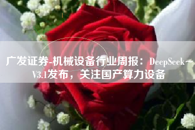 广发证券-机械设备行业周报：DeepSeek~V3.1发布，关注国产算力设备