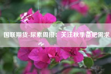 国联期货-尿素周报：关注秋季备肥需求