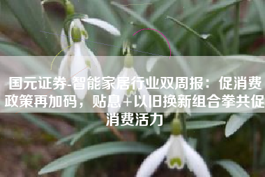 国元证券-智能家居行业双周报：促消费政策再加码，贴息+以旧换新组合拳共促消费活力